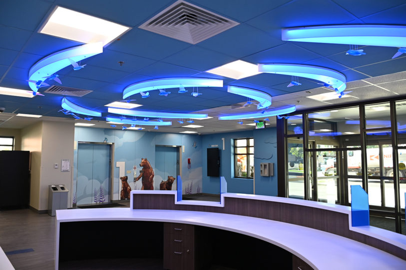 Halifax Experiential Design